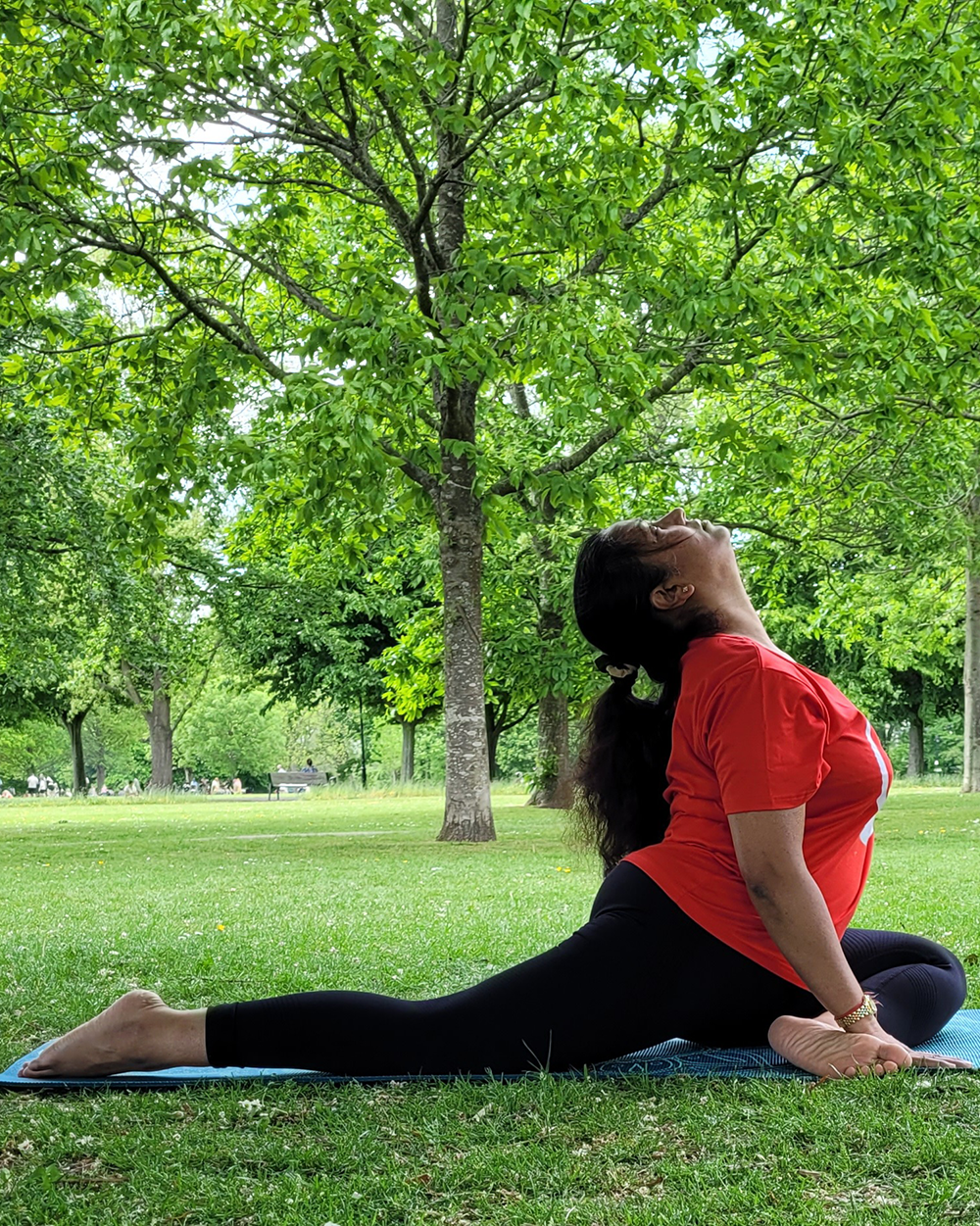 Peigon Pose(Kapotasana) - Improves flexibility, particularly in the hips, and strengthens the back and legs.